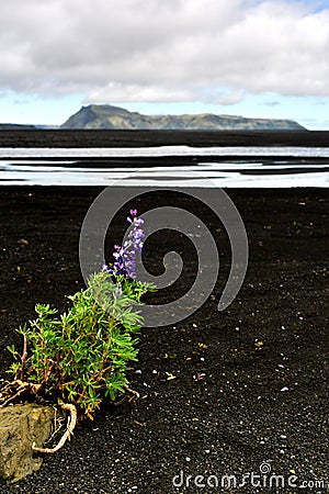 An Icelandic Landscape Stock Photo