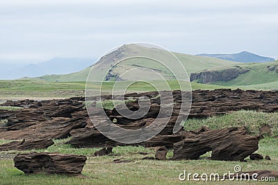 Icelandic landscape with muted colors and abstract rocks Stock Photo