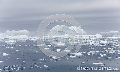 Ices and icebergs of polar regions of Earth. Stock Photo