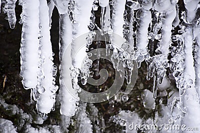 Icicles Stock Photo