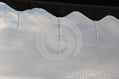 melting icicles remind that spring will come soon Stock Photo