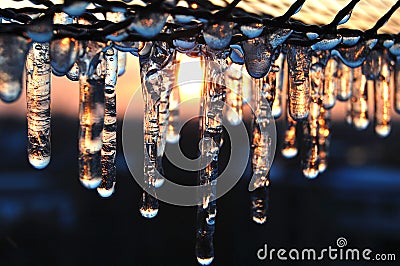 Icicles on the background of the sunset Stock Photo