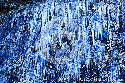 Icicles Clingmans Dome Road Smokies Stock Photo