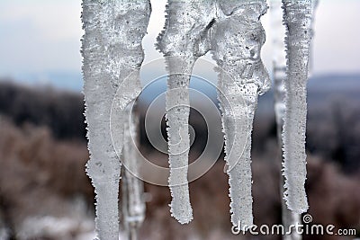 Icicles in the foreground against the winter landscape Stock Photo