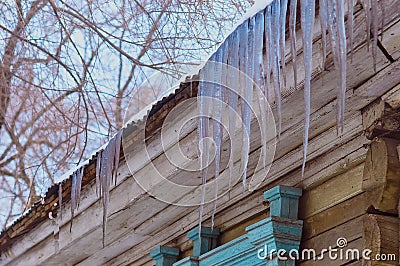 Icicles hang from the roof of a rural wooden house. The ends of the logs and a fragment of the blue trim of the window Stock Photo
