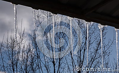 Icicles shimmering in the sun hang from a dark roof against a blurry background of sleeping nature. Stock Photo