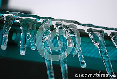 Icing of tree branches. A drops of frozen water. Icicles (3). Stock Photo