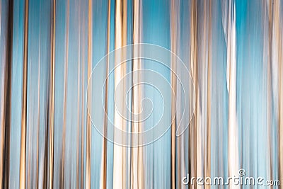 ICM-Birch trees with blue sky Stock Photo