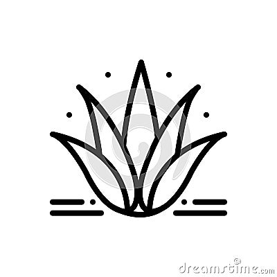 Black line icon for Agave, plant and cactus Stock Photo