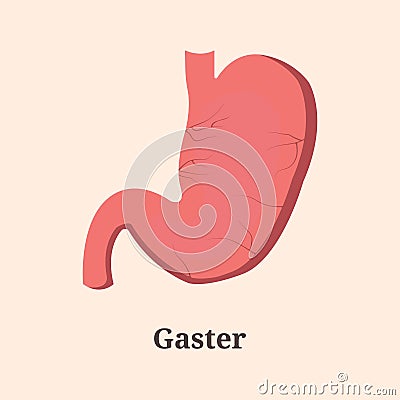 Icon, banner, poster, illustration with human stomach and text Gaster Cartoon Illustration