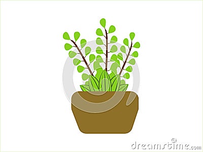 Icon Cactus Vector Illustration