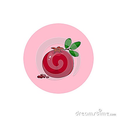 Icon Colorful Pomegranate Vector Illustration