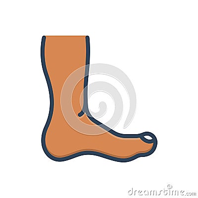 Color illustration icon for Feet, foot and ankle Vector Illustration