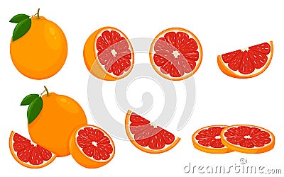Icon Grapefruit. Set with whole fruit, slice and a half, with leaves. Isolated vector illustration in a flat style Vector Illustration