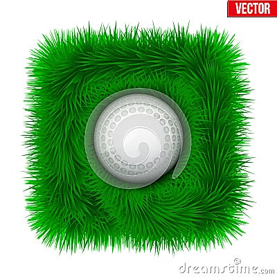 Icon Hockey ball on green grass. Vector Illustration