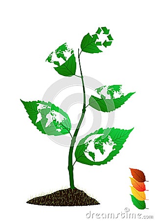 Icon leaves Vector Illustration