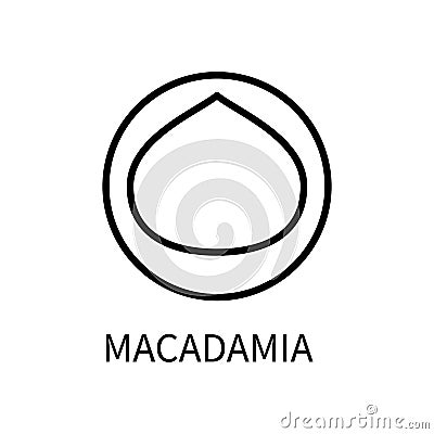 Icon Macadamia Line In A Simple Style. Source Obtaining Milk Vegetable Origin. Vector sign in a simple style isolated on Vector Illustration