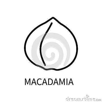 Icon Macadamia Line In A Simple Style. Source Obtaining Milk Vegetable Origin. Vector sign in a simple style isolated on Vector Illustration