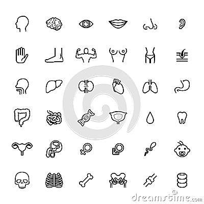 Icon organ set Vector Illustration