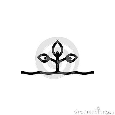 Black line icon for Origins, root and grow Vector Illustration