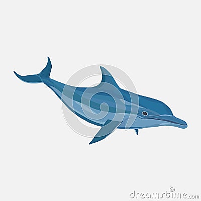 Icon realistic dolphin, water park, entertainment Stock Photo