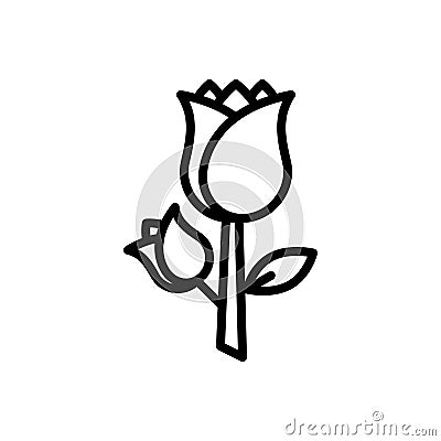 Black line icon for Rose, petals and rosa Vector Illustration