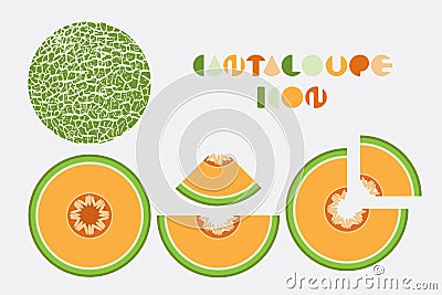 Icon set of cantaloupe and melon graphic with circular shape design. Vector Illustration