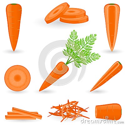 Icon Set Carrot Vector Illustration