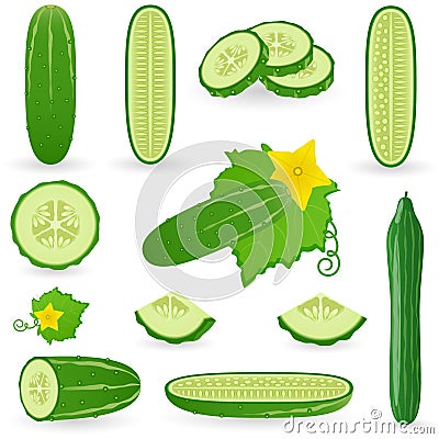 Icon Set Cucumber Vector Illustration