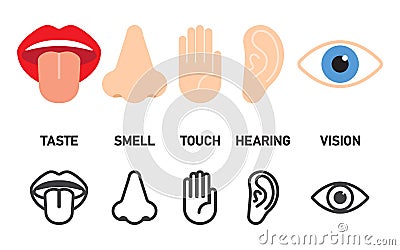 Icon set of five human senses Vector Illustration