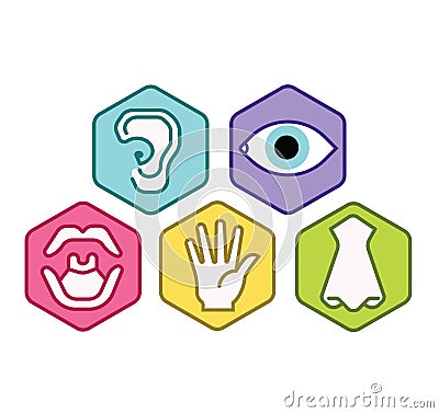 Icon set of five human senses vision eye, smell nose, hearing ear, touch hand, taste mouth. Simple line icon vector color illustra Vector Illustration