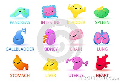 Icon set of human internal organs Stock Photo