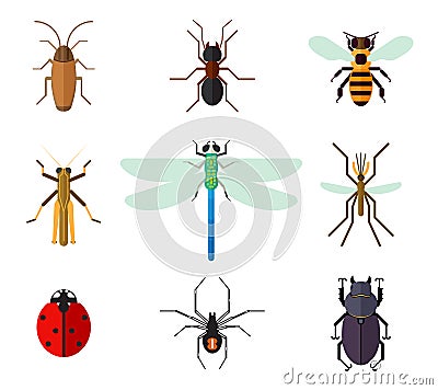 Icon set of insects in flat style Vector Illustration