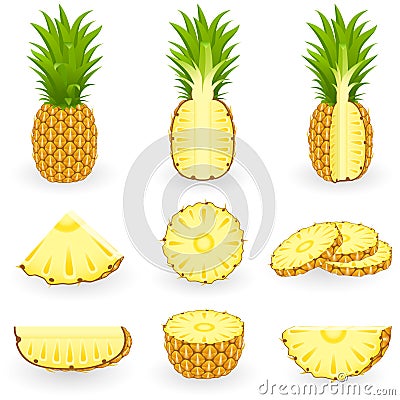 Icon Set Pineapple Vector Illustration