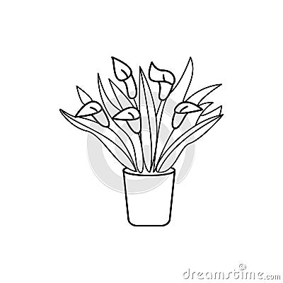 Icon Spathiphyllum in a pot. Vector illustration Cartoon Illustration