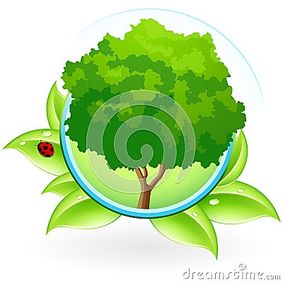 Icon with Tree Vector Illustration