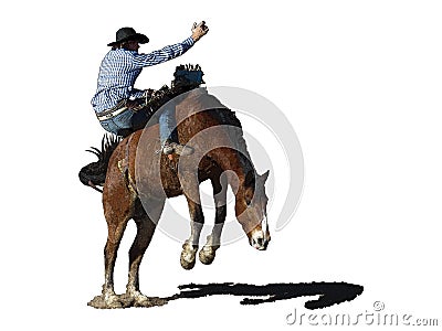 Iconic clipart of a rearing horse and rodeo cowboy Cartoon Illustration