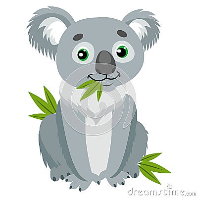 Iconic Marsupials. Koala Bear On Green Leaves. Australian Animal Funniest Herbivore Sitting On Eucalyptus. Vector Illustration