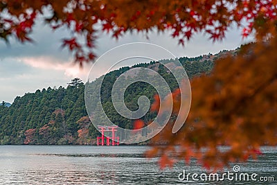 An iconic red gate of Hakone jinja shrine standing in Lake Ashi with blurred red maple leaves Stock Photo