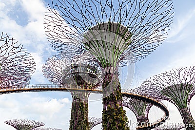 Iconic Supertree Grove at Gardens by the Bay Editorial Stock Photo