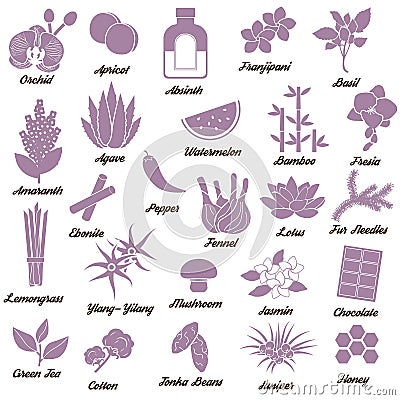 Icons for aromatic plants, herbas and woods Vector Illustration