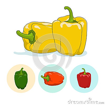 Icons bell pepper,sweet pepper or capsicum Vector Illustration