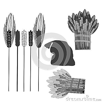 Icons of ear of wheat, barley, sheaf of wheat, barley and sackful. Vector Illustration