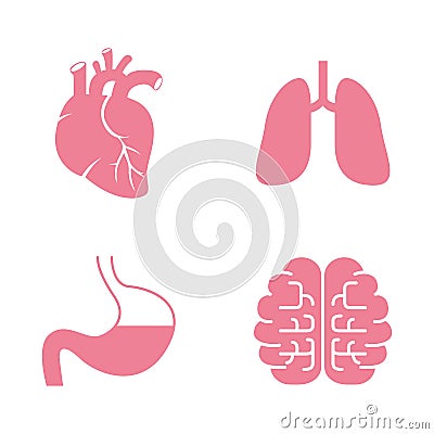 Icons of Human Organs. Heart, Lungs, Stomach, Brains Vector Illustration