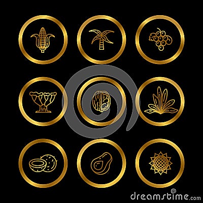 Icons of natural oil ingredients. Line eco products Vector Illustration