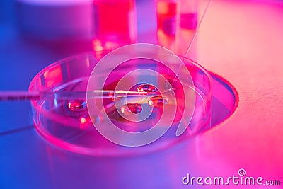 ICSI procedure in modern embryology Stock Photo