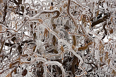 Icy Abstraction Textures Stock Photo