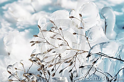 Icy glistening grass in a winter glade. a magical glass winter world. Stock Photo