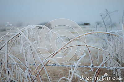 Icy Snow Covered Field Stock Photo