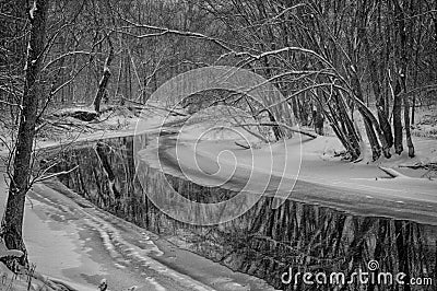 Icy Stream Meandering Through Ryerson Woods Stock Photo